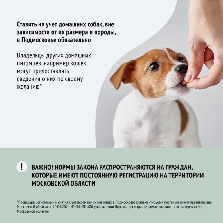 Как и где зарегистрировать собаку в городском округе Зарайск Московской области: